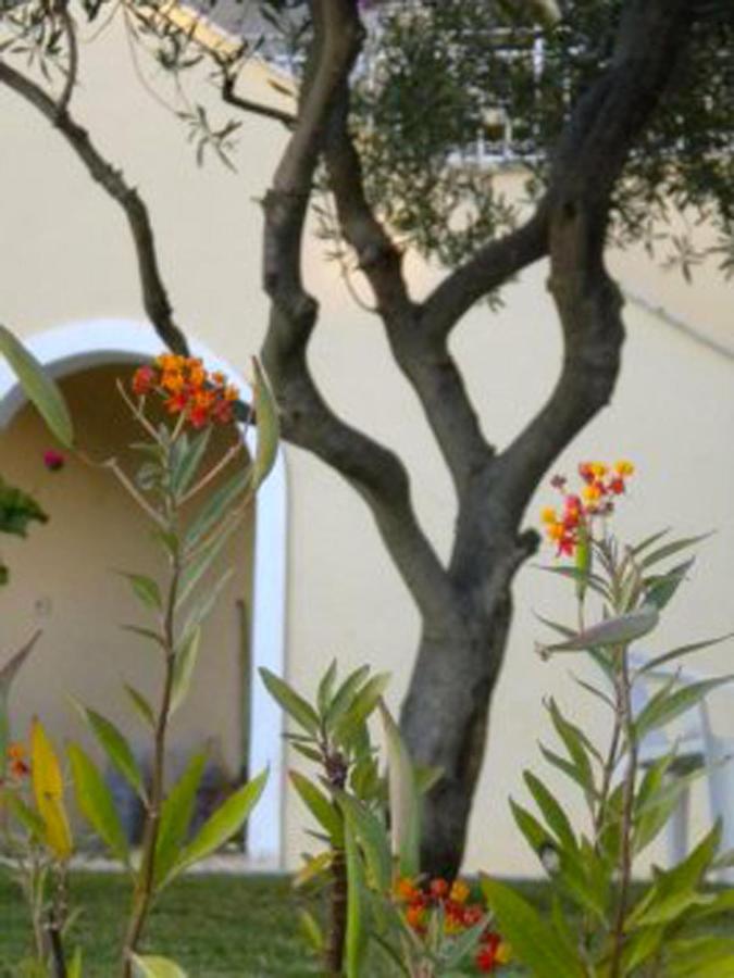 Natalia Apartment B With Panoramic Sea Views Of Agios Gordios Bay エクステリア 写真